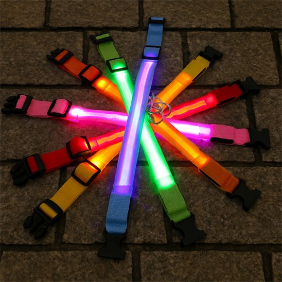 Collier lumineux pour chien