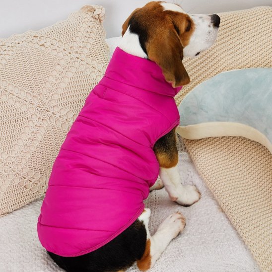 Manteau pour chien